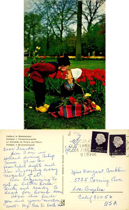 Dutch Couple in Tulip Field