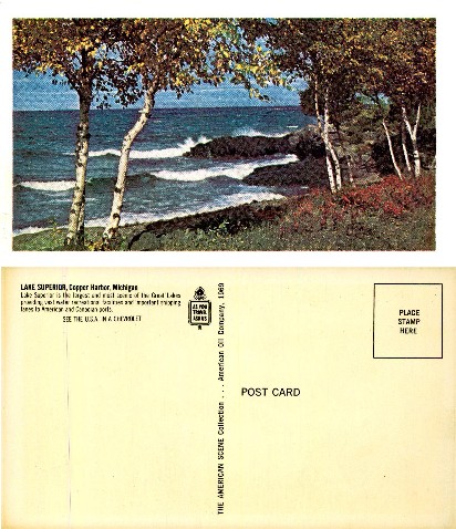 Lake Superior Shoreline with Birch Trees