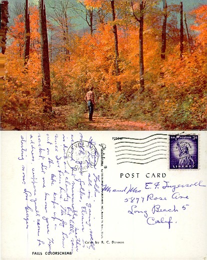 Autumn Forest with Walking Person