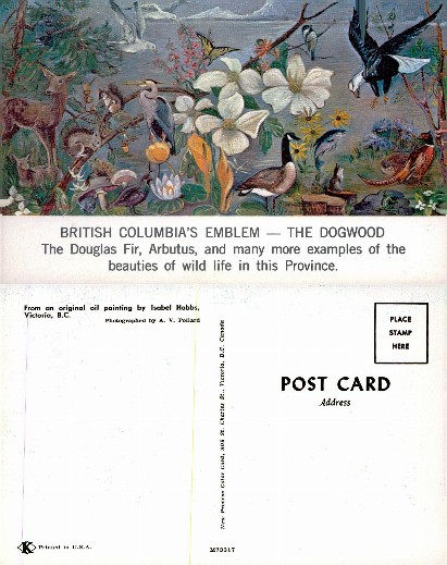 British Columbia's Dogwood Emblem