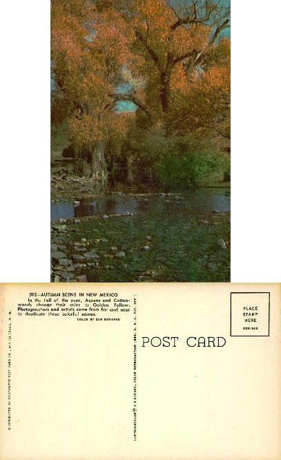 Fall Foliage by Stream in New Mexico