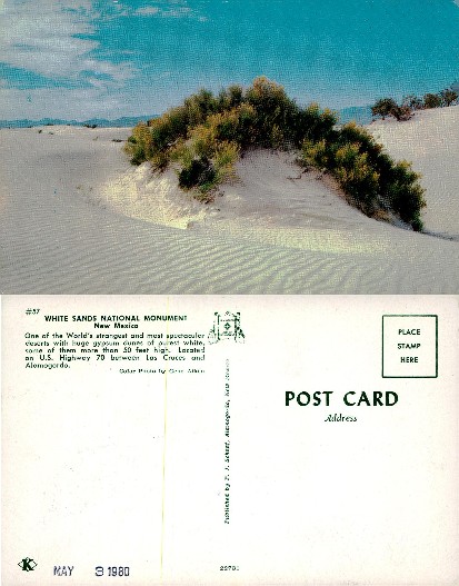 White Sand Dunes with Desert Plants