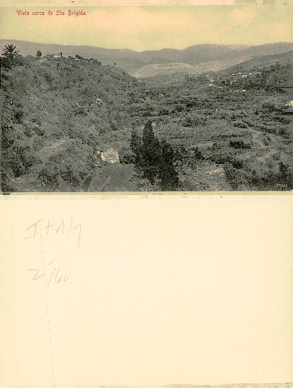 Valley View with Cultivated Terraces