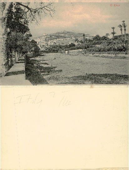 Hillside Town View with Palm Trees