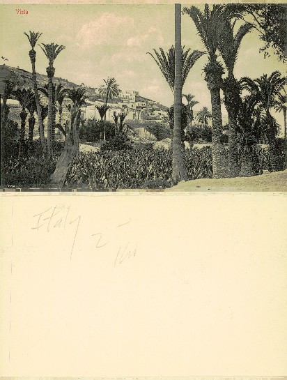 Palm Trees and Hillside Village