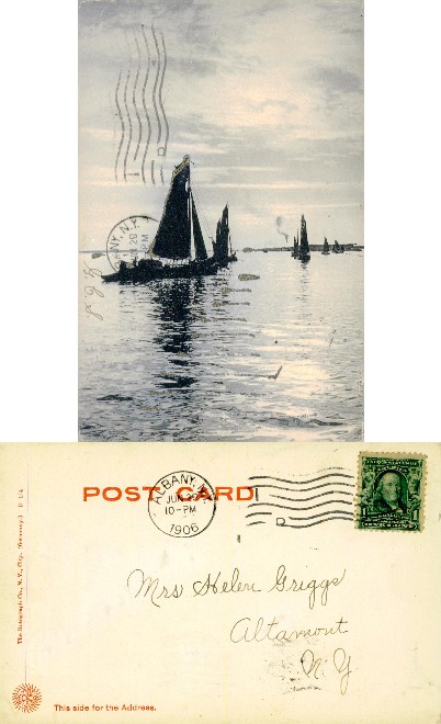 Sailboats on the Water