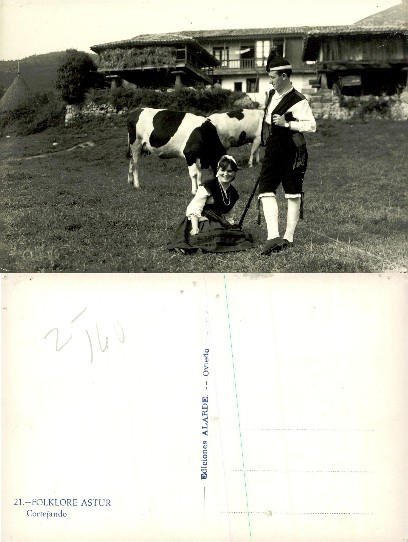 Asturian Couple in Folk Dress with Cows