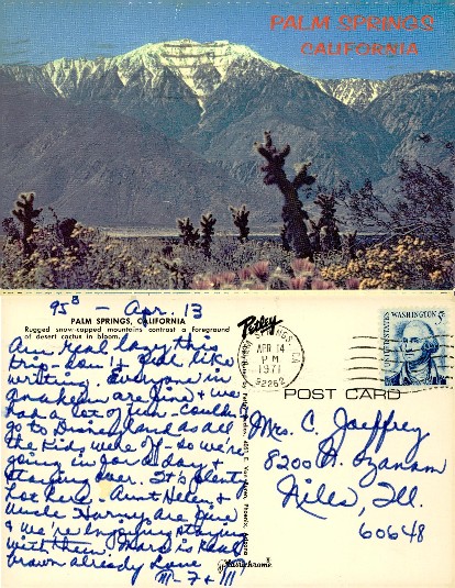 Snow-capped Mountains with Desert Cacti