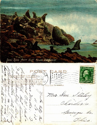 Sea Lions on Seal Rock