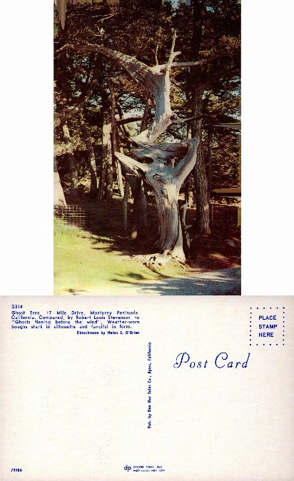 Ghost Tree