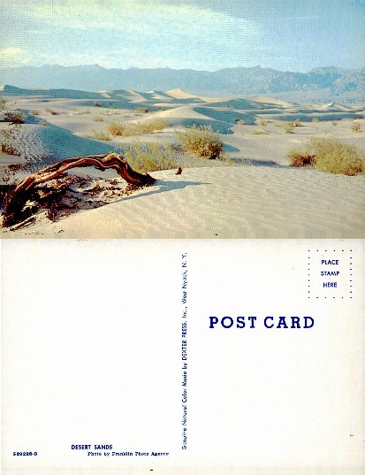 Desert Sand Dunes with Mountains