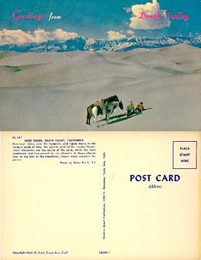 Sand Dunes with Horses and Mountains
