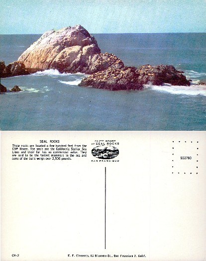 Sea Lions on Ocean Rocks