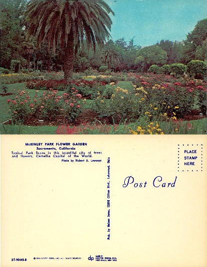 McKinley Park Flower Garden