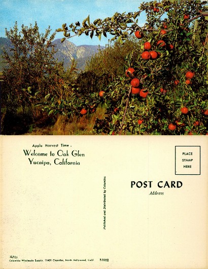 Apple Orchard with Mountains