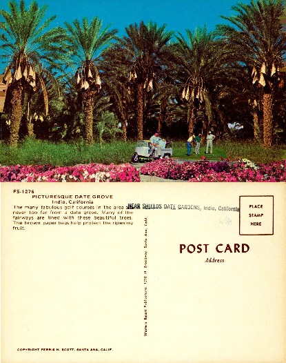 Date Grove and Golf Course Scene