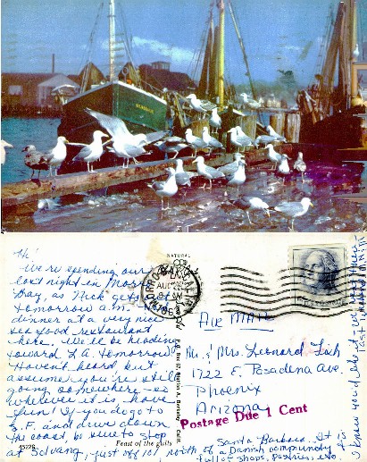 Seagulls and Fishing Boats at Dock