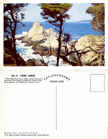 Point Lobos Rocky Coastline