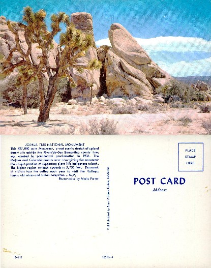 Joshua Tree National Monument Landscape
