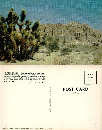 Red Rock Canyon with Joshua Trees