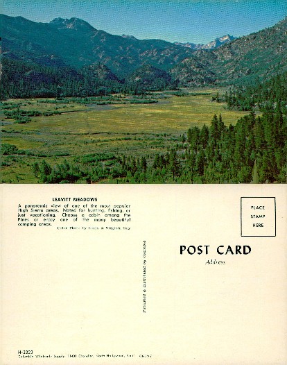 Leavitt Meadows Mountain Landscape