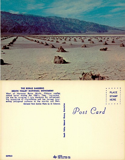 Borax Gardens, Death Valley