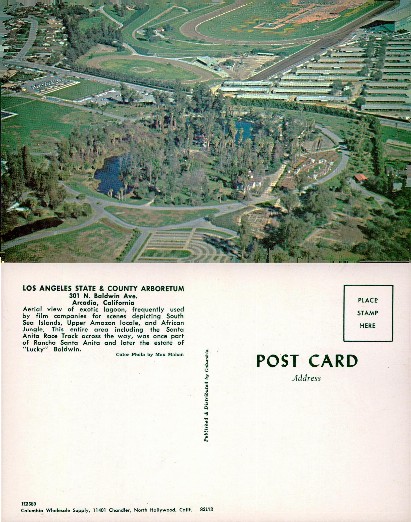 Aerial View Arboretum & Racetrack