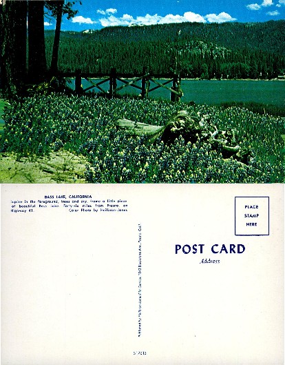 Bass Lake with Lupine and Forest