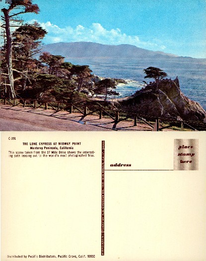 Lone Cypress, Monterey Peninsula