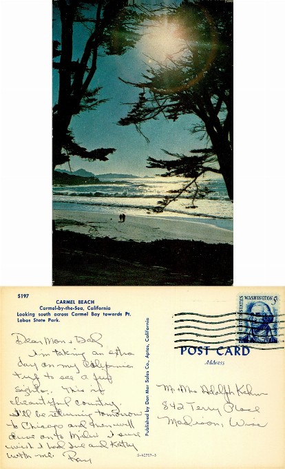 Carmel Beach with Silhouetted Trees
