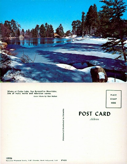 Winter Lake Scene with Pine Trees