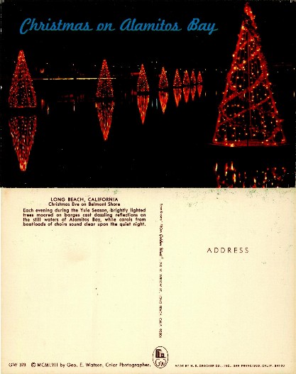 Christmas Trees on Alamitos Bay