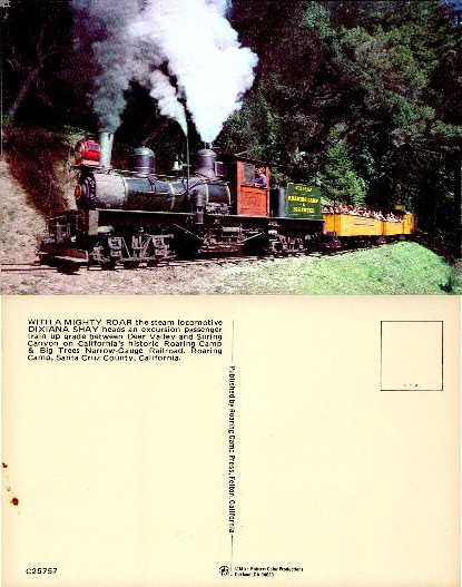 Steam Locomotive & Excursion Train