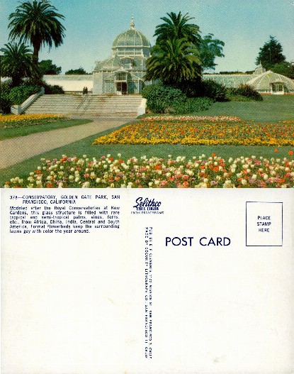 Conservatory and Flowerbeds
