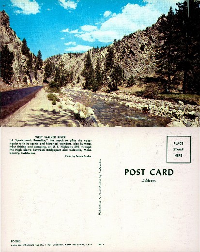 West Walker River Scenic View