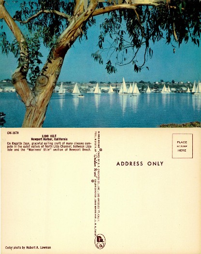 Sailing Regatta on Lido Isle Channel