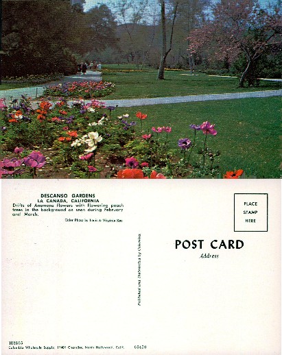 Garden Path with Flowers