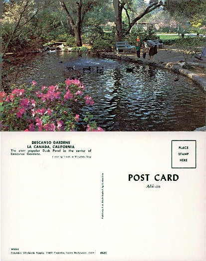 Duck Pond with People in Garden