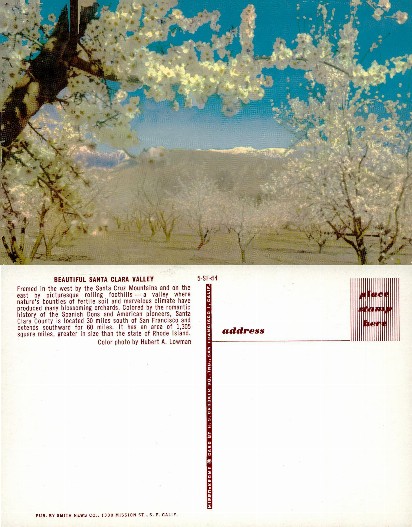 Blossoming Orchard Valley