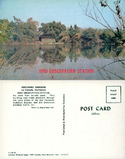 Bird Observation Station Across Pond