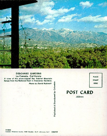 Snow-Capped Mountains from Descanso Gardens