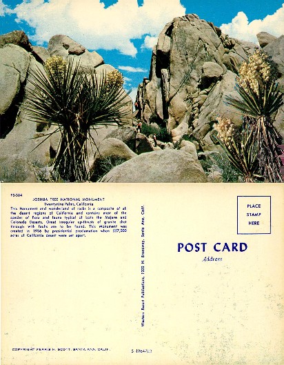 Desert Rock Formations & Yuccas