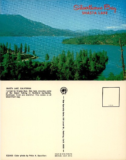 Silverthorne Bay on Shasta Lake