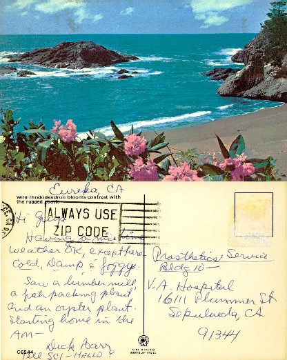 Coastal view with rhododendrons