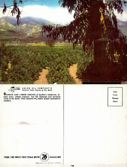 Orange and Lemon Groves