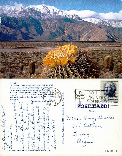 Desert Barrel Cactus with Mountains