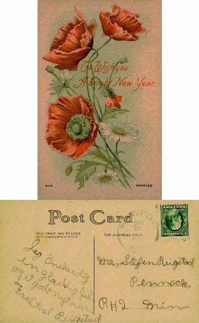 Poppies and New Year Greeting