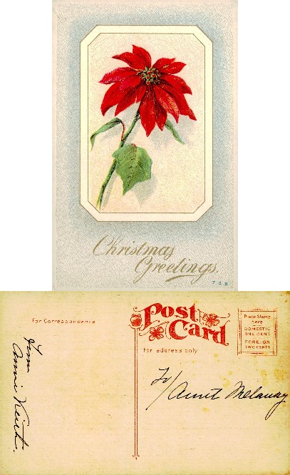 Poinsettia Christmas Greetings