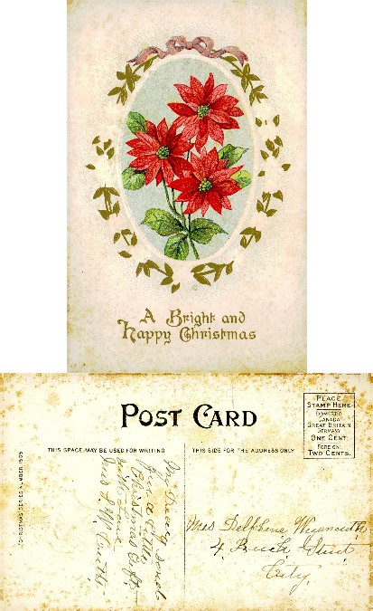 Poinsettias with Christmas Greeting
