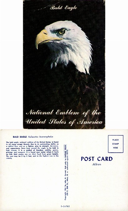 Bald Eagle, National Emblem